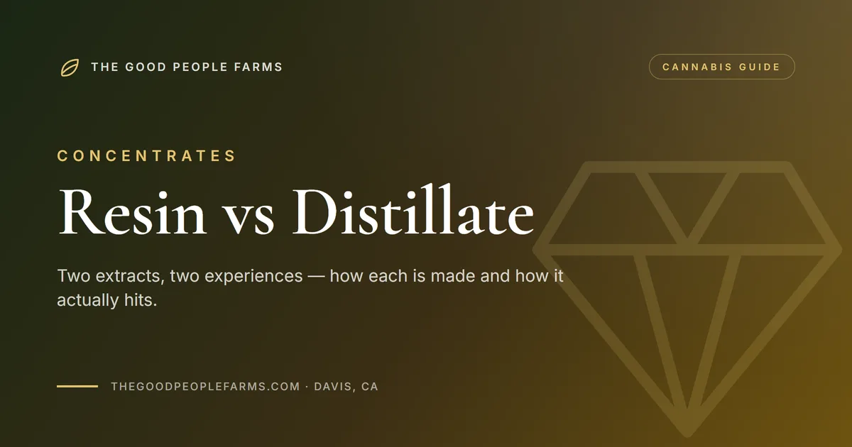 Live Resin vs Distillate: Which Is Right for You?