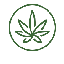 California state cannabis license seal